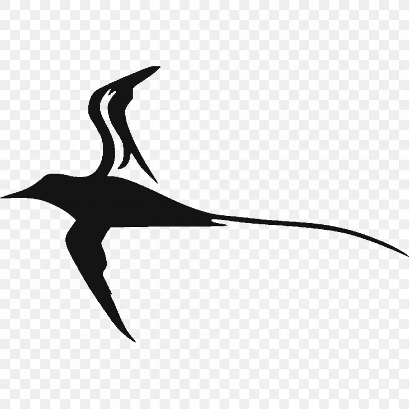 Sticker Decal Tropicbirds Logo, PNG, 1000x1000px, Sticker, Beak, Bird, Black, Black And White Download Free