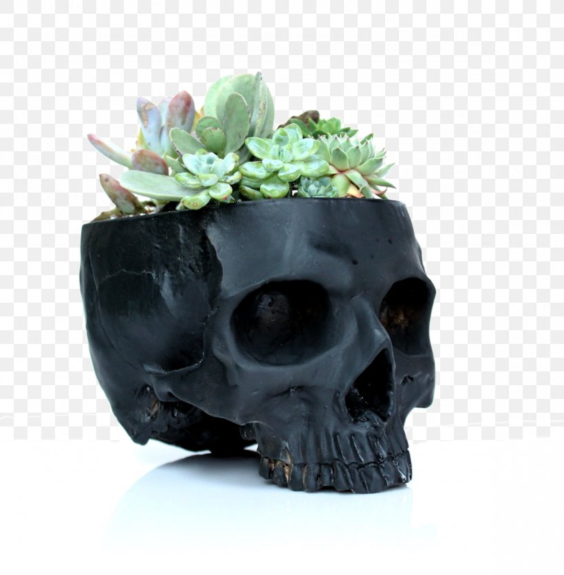 Succulent Plant Cactaceae Flowerpot Skull, PNG, 1177x1200px, Plant, Apartment, Bone, Cactaceae, Ceramic Download Free