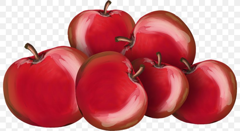 Tomato Apple Fruit Food Vegetable, PNG, 800x449px, Tomato, Accessory Fruit, Acerola, Acerola Family, Apple Download Free