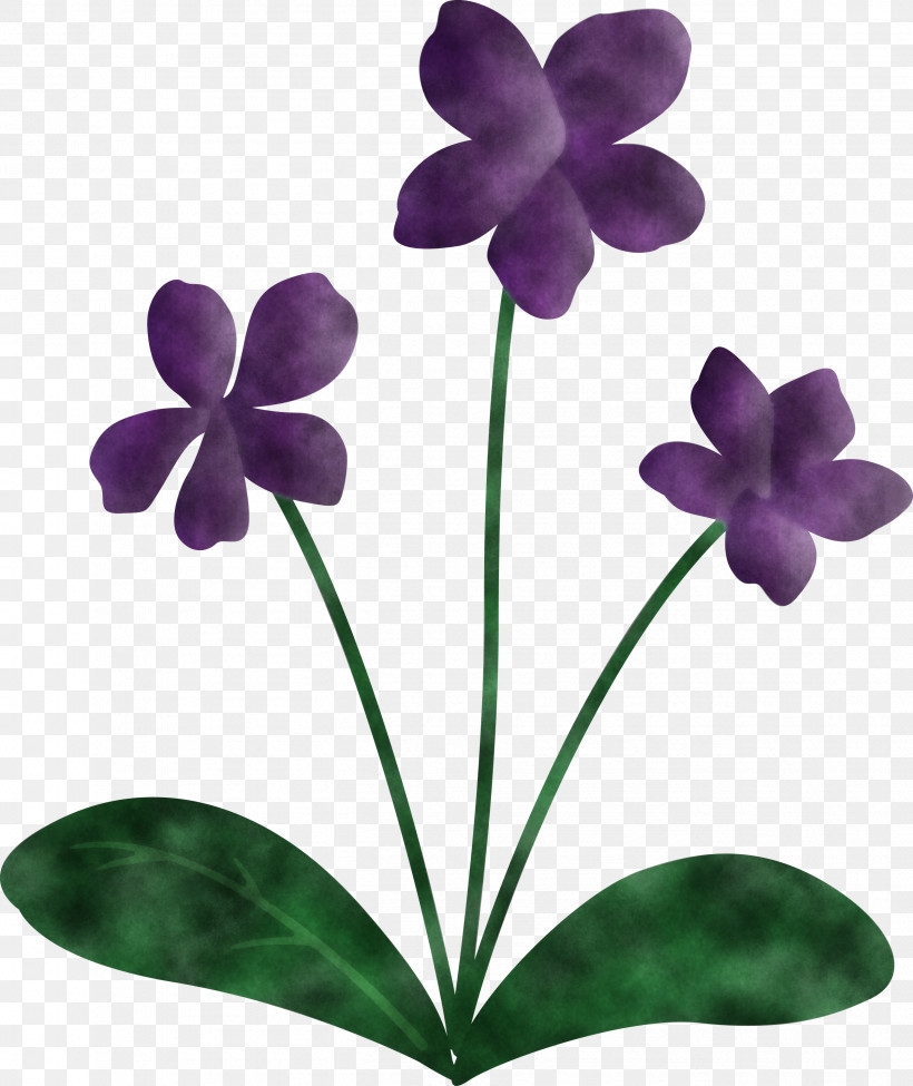 Violet Flower, PNG, 2522x3000px, Violet Flower, Biology, Flower, Herbaceous Plant, Leaf Download Free