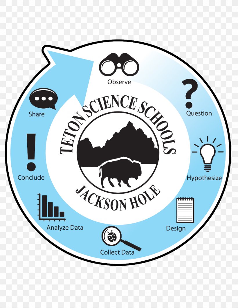 Circle Graph Science Scientific Method Ramshorn Dude Ranch Lodge, PNG, 989x1280px, Science, Area, Brand, Circle Graph, Education Download Free