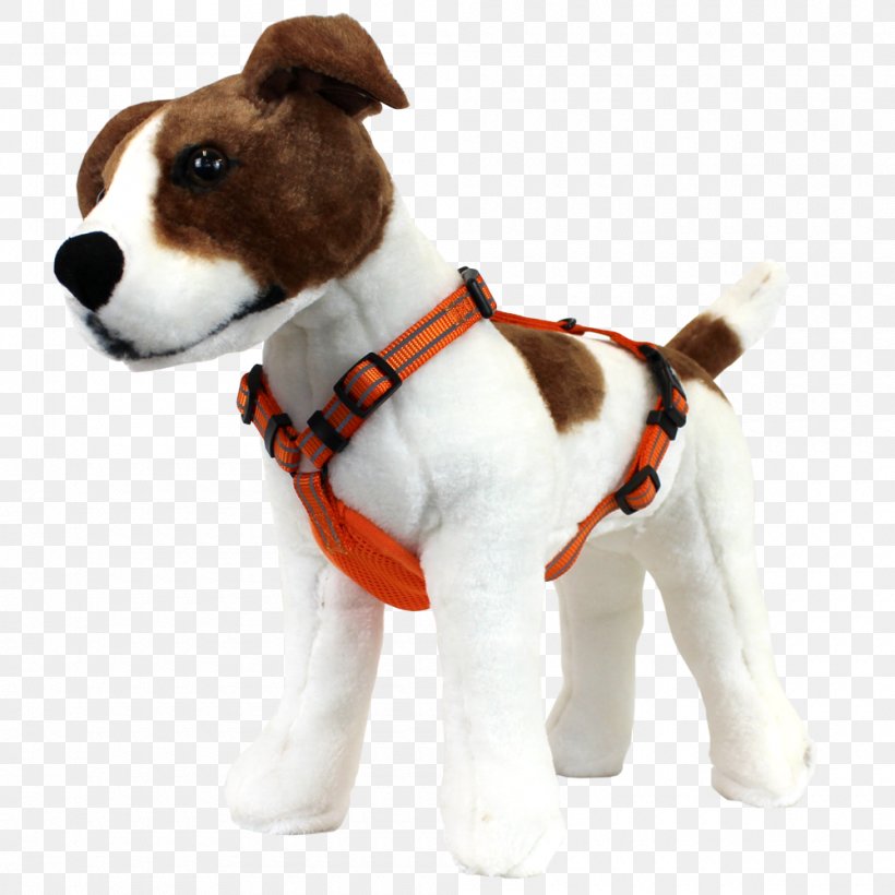 Jack Russell Terrier Dog Breed Dog Harness Puppy Companion Dog, PNG, 1000x1000px, Jack Russell Terrier, Adventure, Adventure Film, Carnivoran, Collar Download Free