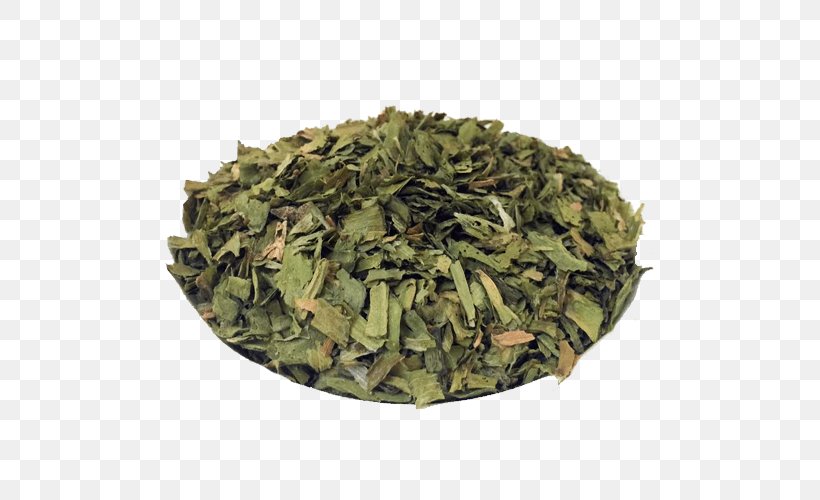 Nilgiri Tea Sencha Herb Tea Plant, PNG, 500x500px, Nilgiri Tea, Bancha, Biluochun, Darjeeling Tea, Herb Download Free