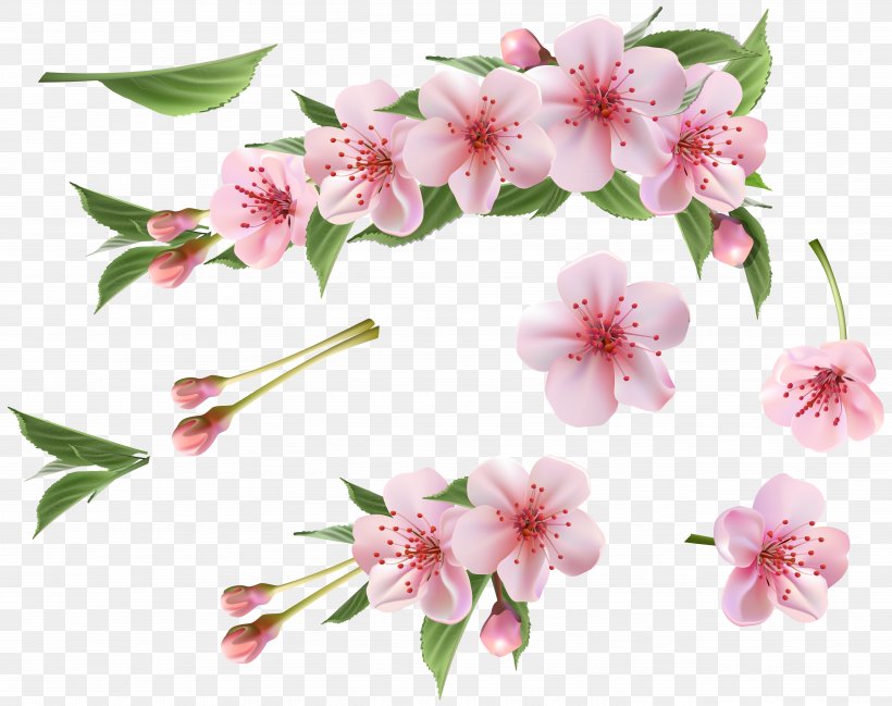 Branch Clip Art, PNG, 5261x4168px, Flower, Arranging Cut Flowers, Artificial Flower, Blossom, Branch Download Free