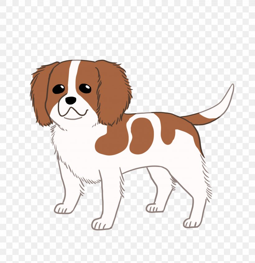Cavalier King Charles Spaniel Dog Breed Puppy Companion Dog, PNG, 2756x2846px, Cavalier King Charles Spaniel, Breed, Carnivoran, Companion Dog, Dog Download Free