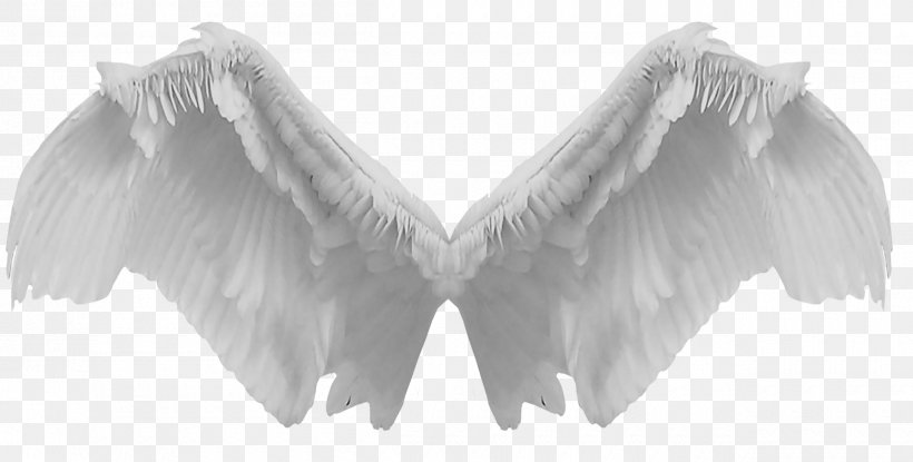 DeviantArt Monochrome Photography, PNG, 2500x1266px, Deviantart, Art, Black And White, Feather, Jaw Download Free