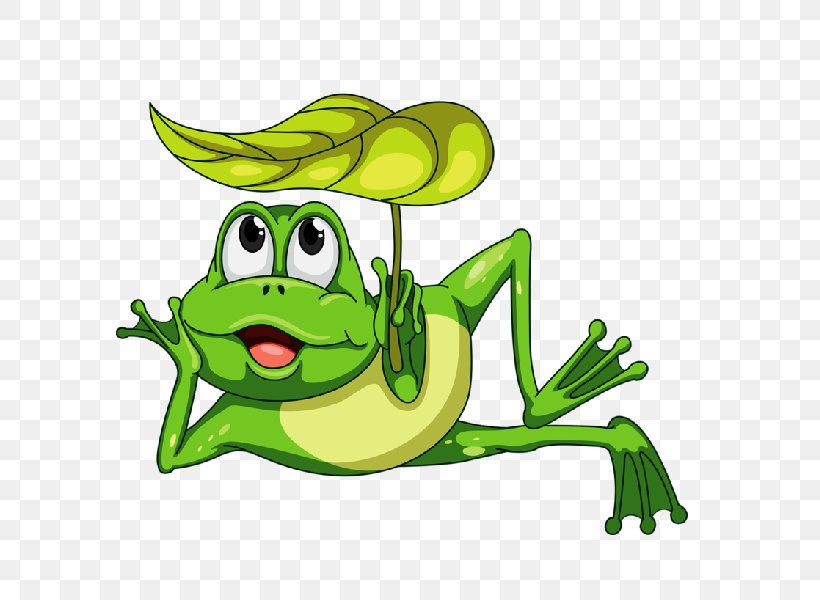 Frog Cartoon Clip Art, PNG, 600x600px, Frog, Amphibian, Animation, Art, Cartoon Download Free