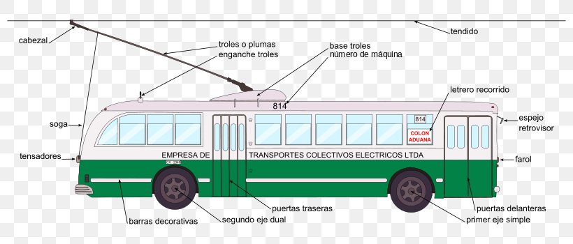 Trolleybus Overhead Line Transit Bus, PNG, 800x350px, Bus, Area, Automotive Exterior, Compact Car, Diagram Download Free