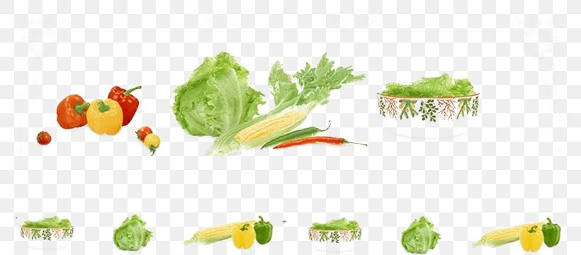 Vegetable Bell Pepper Tomato Food, PNG, 813x360px, Vegetable, Bell Pepper, Chinese Cabbage, Cucumber, Diet Food Download Free