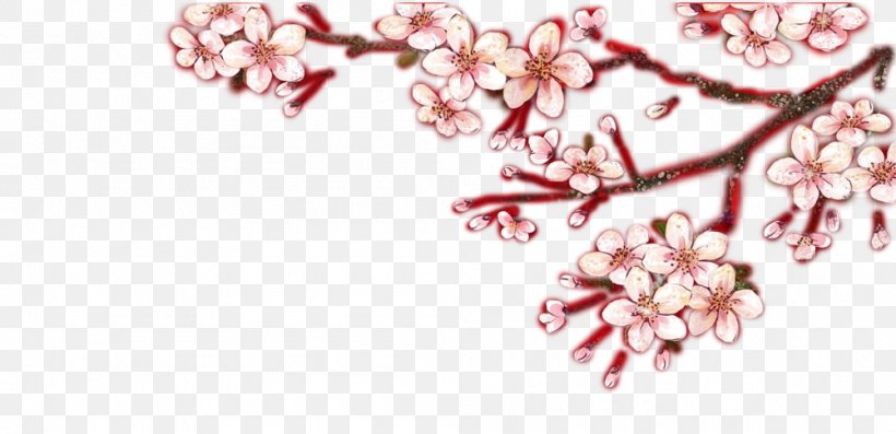 Cherry Blossom Petal Fashion Accessory Jewellery, PNG, 1001x485px, Cherry Blossom, Blossom, Body Jewelry, Branch, Cherry Download Free