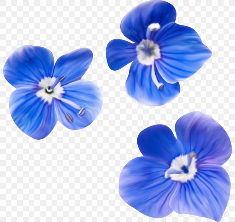 Blue Download, PNG, 800x777px, Blue, Cobalt Blue, Data, Flower, Flowering Plant Download Free