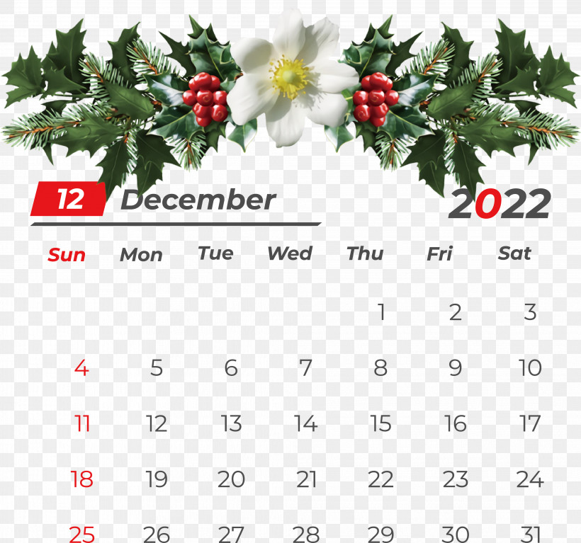 Christmas Mistletoe, PNG, 4067x3809px, Mistletoe, Christmas Day, Christmas Mistletoe, Common Holly, Leafy Mistletoes Download Free
