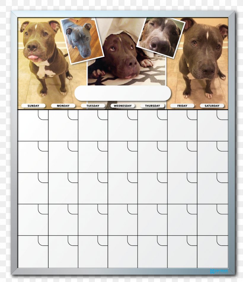 Dog Breed Dry-Erase Boards Calendar Puppy, PNG, 1107x1287px, Dog Breed, Breed, Calendar, Carnivoran, Crossbreed Download Free