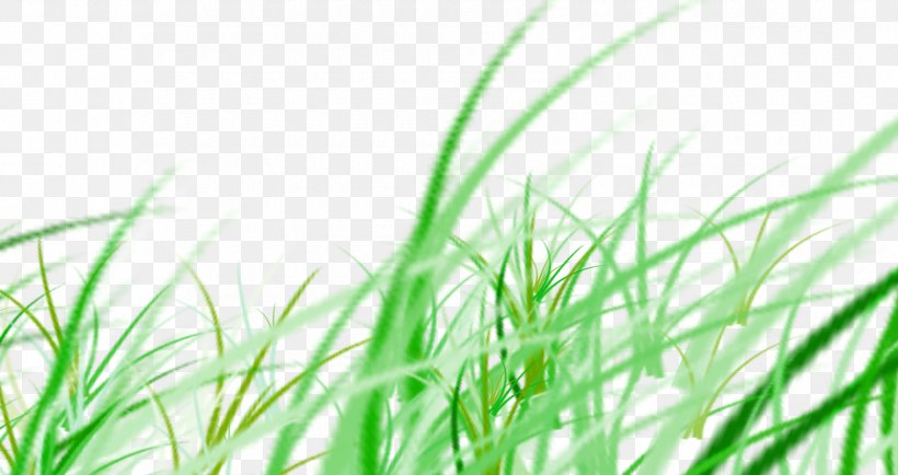 Download Google Images, PNG, 1700x900px, Google Images, Computer, Energy, Grass, Grass Block Download Free