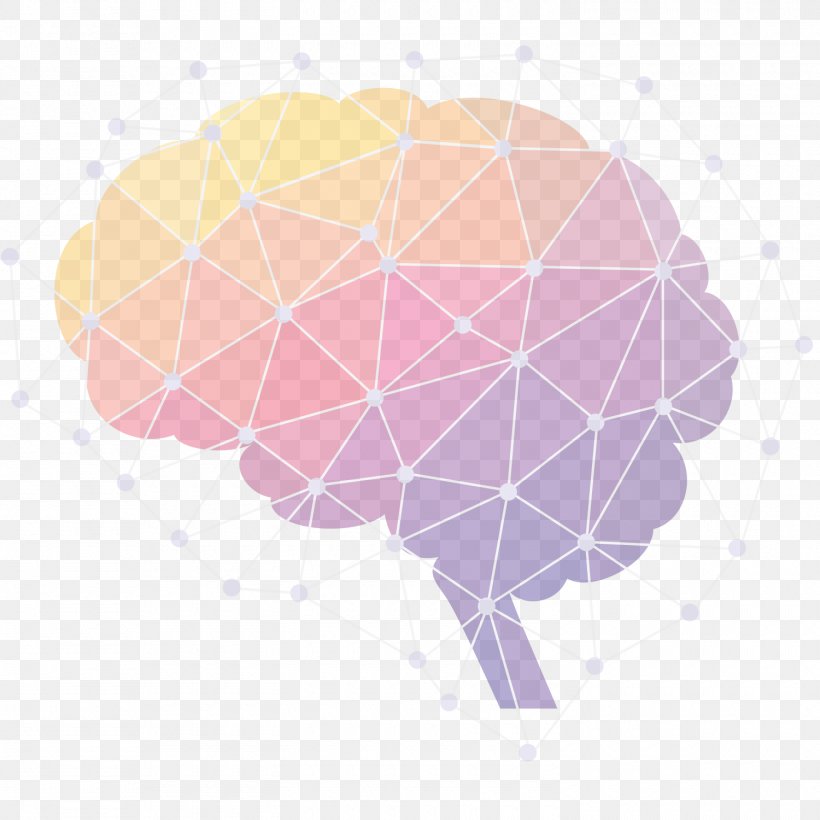 Human Brain Neuroscience Infographic, PNG, 1500x1500px, Brain, Endocannabinoid System, Frontiers Media, History Of Neuroscience, Homo Sapiens Download Free