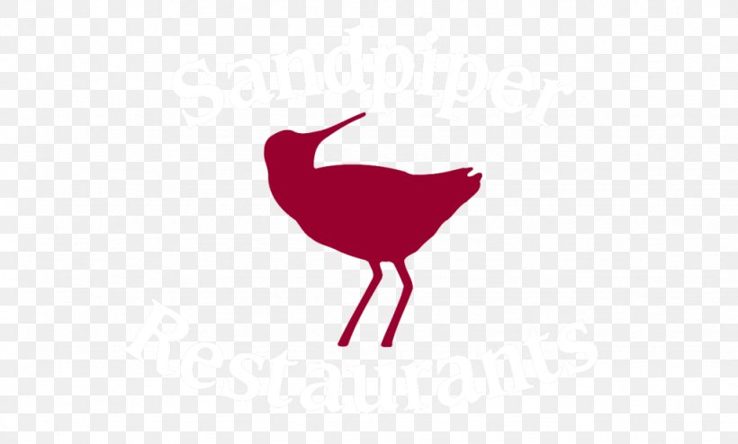 Rooster Water Bird Beak Clip Art, PNG, 1024x617px, Rooster, Beak, Bird, Chicken, Galliformes Download Free