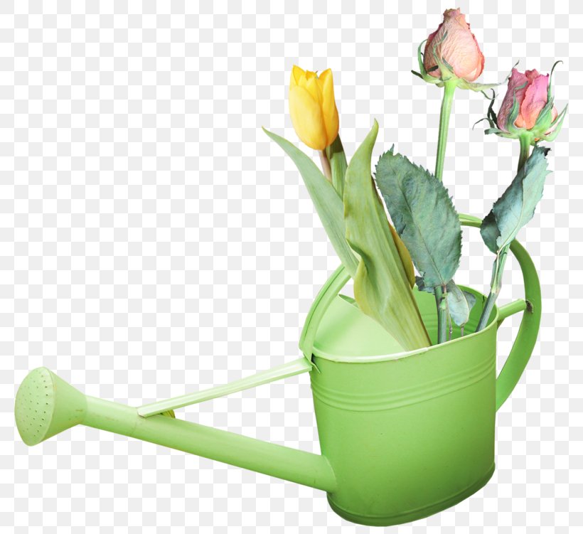 Watering Cans Garden Flowerpot Clip Art, PNG, 800x751px, Watering Cans, Cut Flowers, Floral Design, Floristry, Flower Download Free