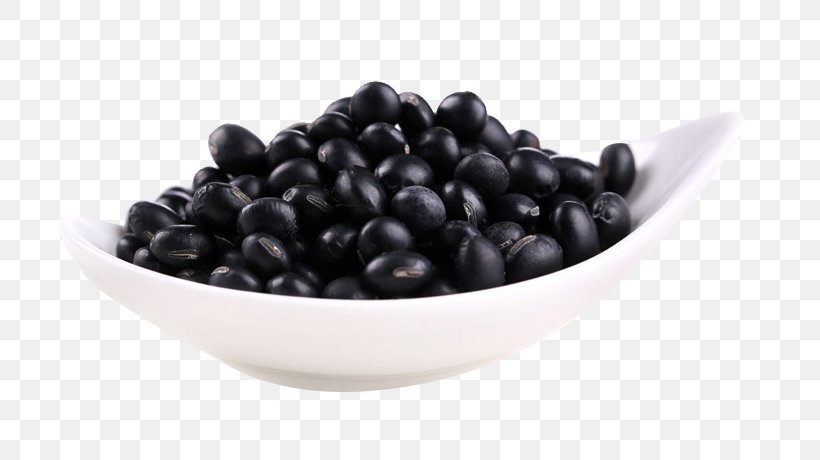Black Turtle Bean, PNG, 720x460px, Black Turtle Bean, Bean, Berry, Blueberry, Food Download Free