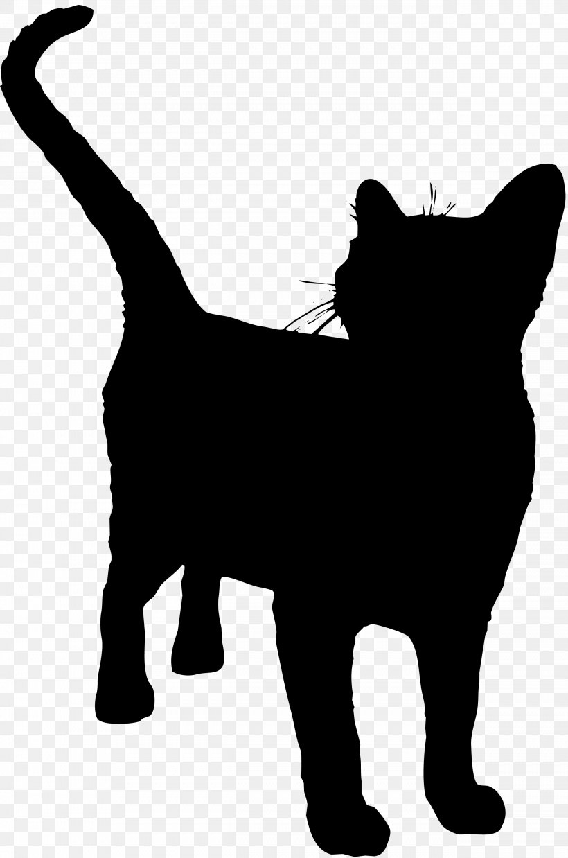 Cat Am Wall Decal Magical Jewelry 0, PNG, 2542x3840px, 2016, 2017, Cat, Black, Black And White Download Free