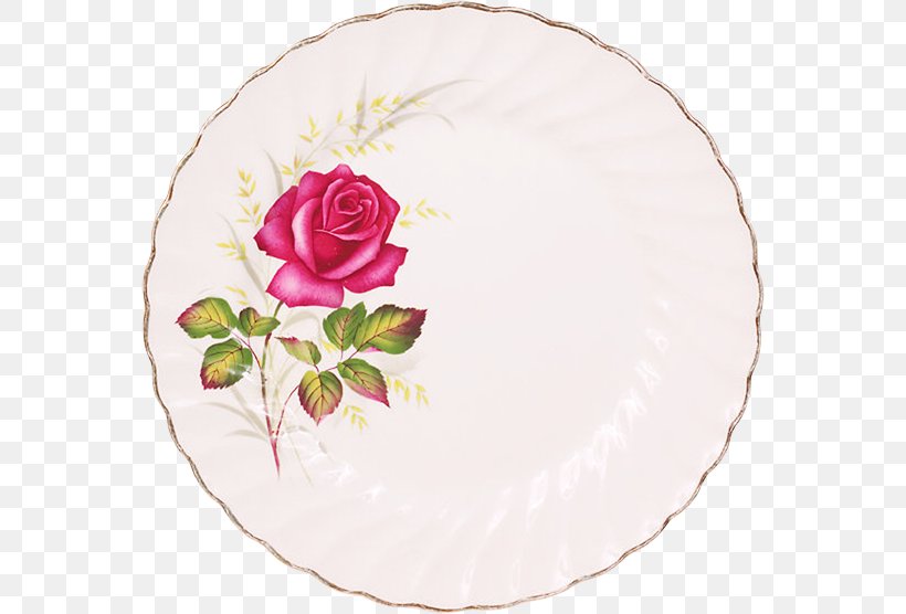 Garden Roses Plate Porcelain Tableware Beach Rose, PNG, 564x556px, Garden Roses, Beach Rose, Cut Flowers, Dishware, Flower Download Free