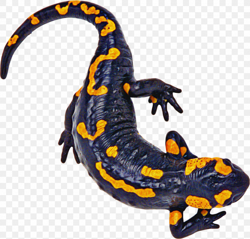 Salamandra Fire Salamander True Salamanders And Newts Salamander Spotted Salamander, PNG, 1846x1765px, Salamandra, Animal Figure, Fire Salamander, Newt, Salamander Download Free