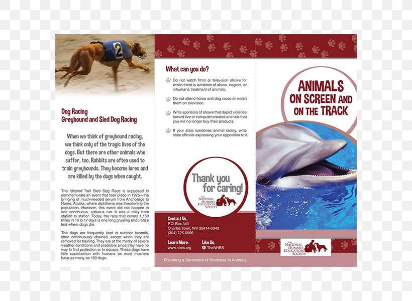 The Case For Animal Rights Introduction To Animal Rights Horse Empty Cages: Facing The Challenge Of Animal Rights Cruelty To Animals, PNG, 600x600px, Case For Animal Rights, Advertising, Animal, Animal Rescue Group, Animal Rights Download Free
