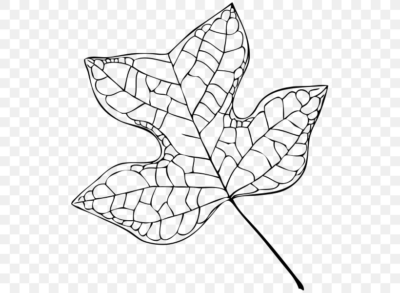Liriodendron Tulipifera Tree Leaf Cottonwood, PNG, 540x600px, Liriodendron Tulipifera, Area, Art, Artwork, Black And White Download Free