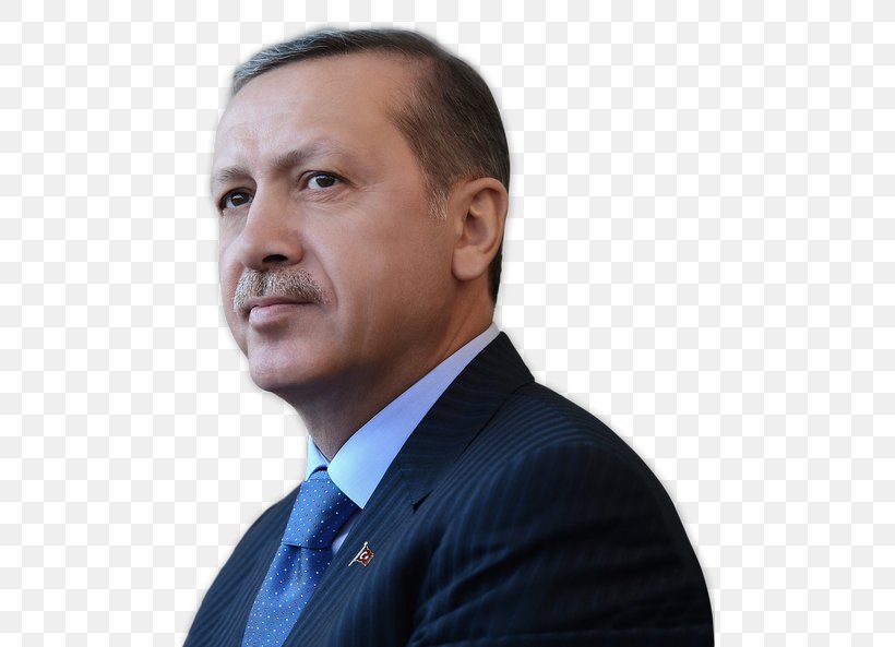 Recep Tayyip Erdoğan President Of Turkey Justice And Development Party, PNG, 490x593px, Turkey, Business, Businessperson, Chin, Elder Download Free