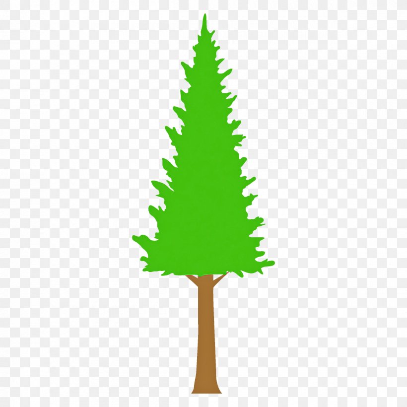 Christmas Tree, PNG, 1200x1200px, Tree, American Larch, Christmas Tree, Colorado Spruce, Leaf Download Free