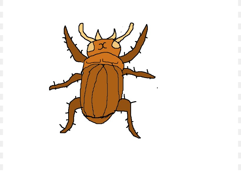 Cockroach Insect Clip Art, PNG, 800x600px, Cockroach, Animal, Animation, Arthropod, Artwork Download Free