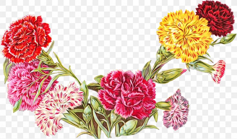 Floral Design, PNG, 1544x906px, Watercolor, Carnation, Cut Flowers, Dianthus, Floral Design Download Free