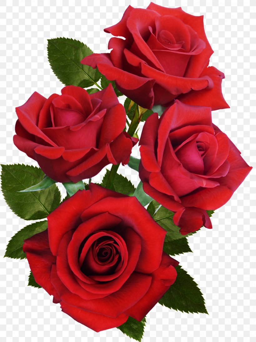 Rose Flower Desktop Wallpaper, PNG, 957x1280px, Rose, Artificial Flower ...