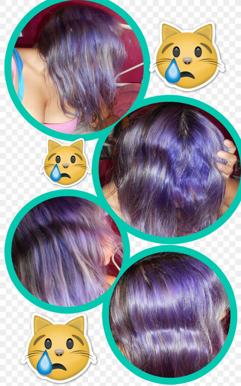 Violet Hair Coloring Dye, PNG, 1000x1600px, Violet, Blue, Color, Dye, Ear Download Free