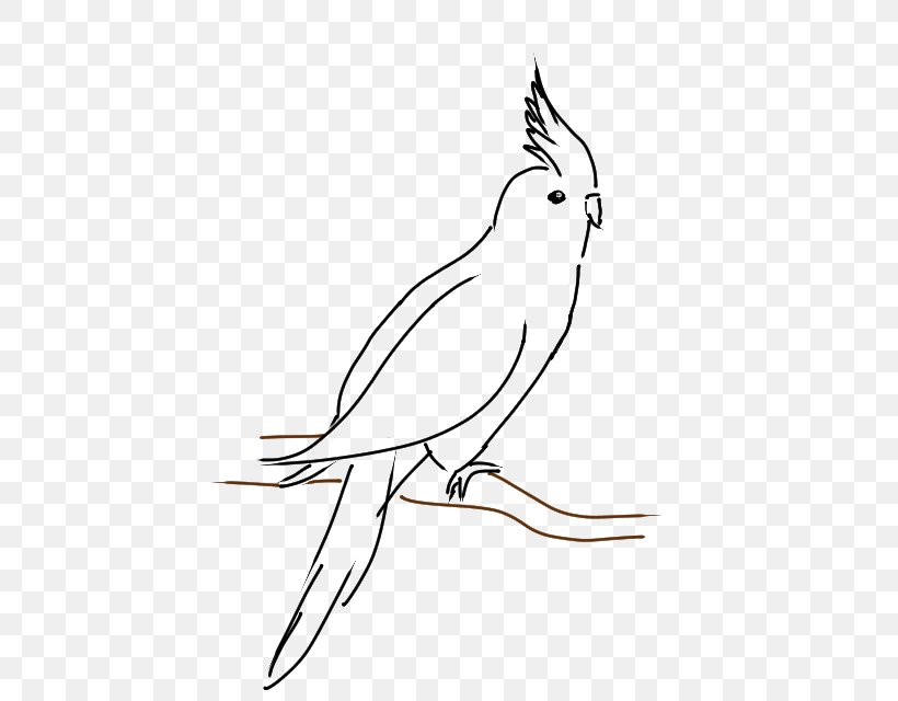 Cockatiel Line Art Drawing Cockatoo Clip Art, PNG, 448x640px, Cockatiel, Artwork, Beak, Bird, Black And White Download Free