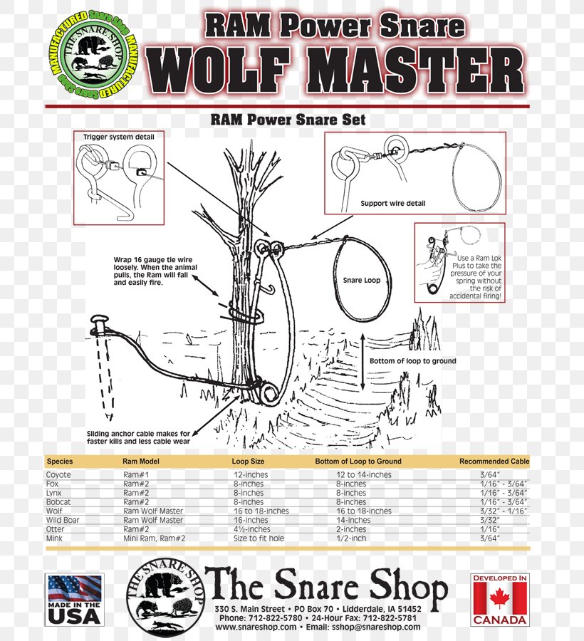 Drawing Snare Drums The Snare Shop Diagram, PNG, 710x900px, Drawing, Area, Artwork, Cartoon, Diagram Download Free