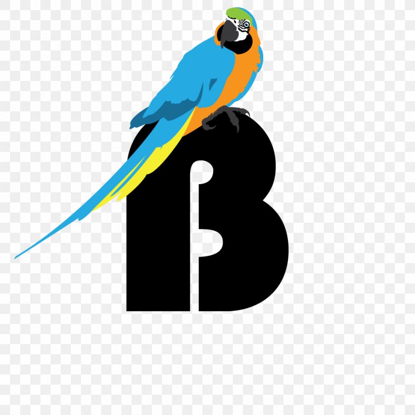 A Bird Chronicle Macaw Parakeet Feather, PNG, 960x960px, Bird Chronicle, Alphabet Book, Art, Beak, Bird Download Free