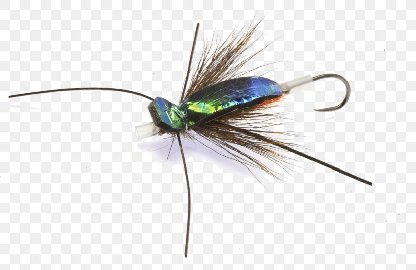 Artificial Fly Fly Fishing Rainbow Trout, PNG, 1024x665px, Artificial Fly, Angling, Beetle, Com, Fishing Download Free