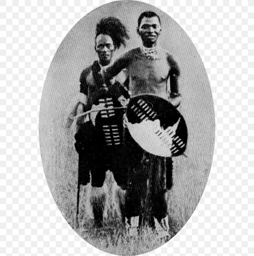 Bambatha Rebellion Greytown Colony Of Natal Zulu Kingdom Anglo-Zulu War, PNG, 570x828px, Greytown, Anglozulu War, Black And White, British Empire, Colony Of Natal Download Free