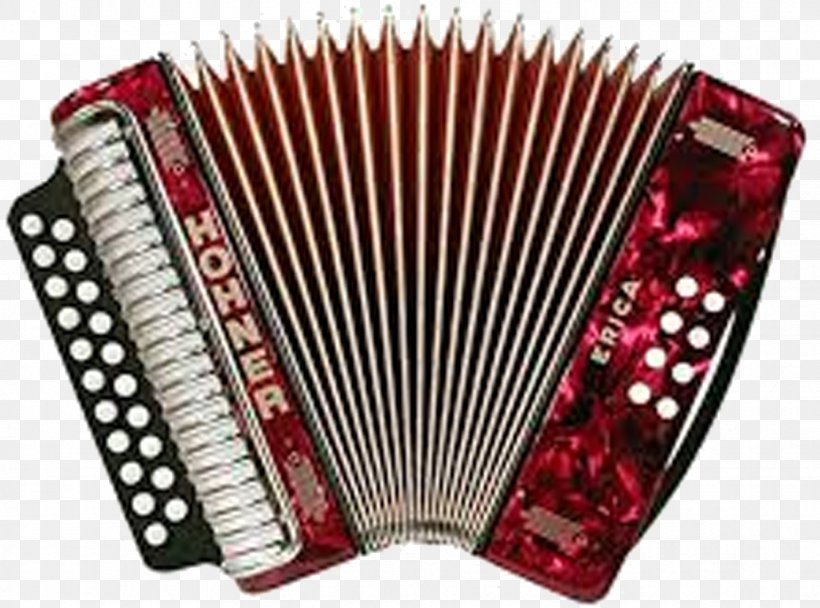 Diatonic Button Accordion Hohner Musical Instruments Diatonic Scale, PNG, 925x686px, Watercolor, Cartoon, Flower, Frame, Heart Download Free