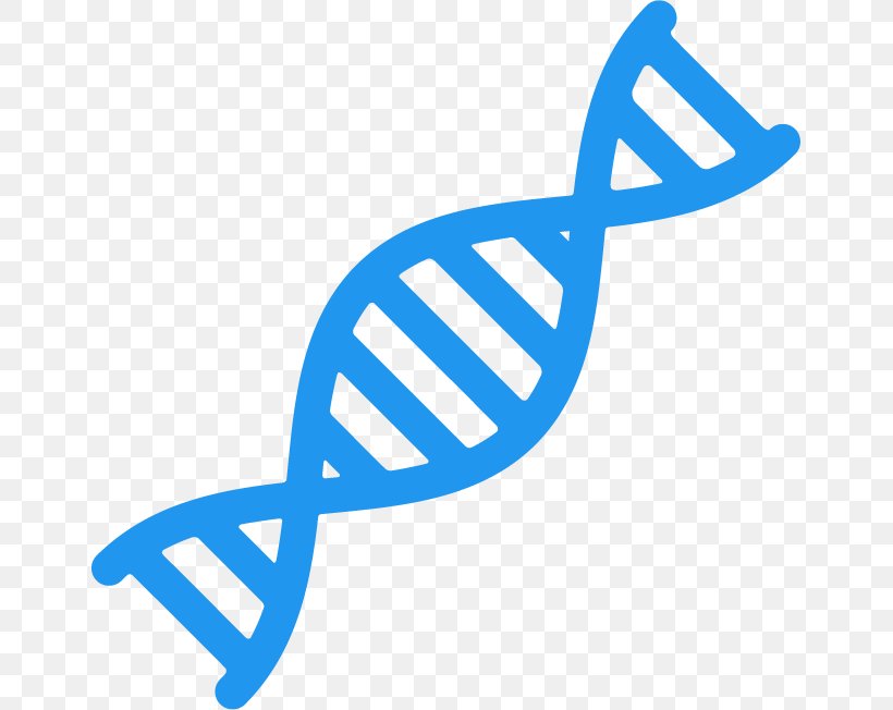 DNA Nucleic Acid Double Helix Genetics, PNG, 651x652px, Dna, Area, Brand, Genetics, Logo Download Free