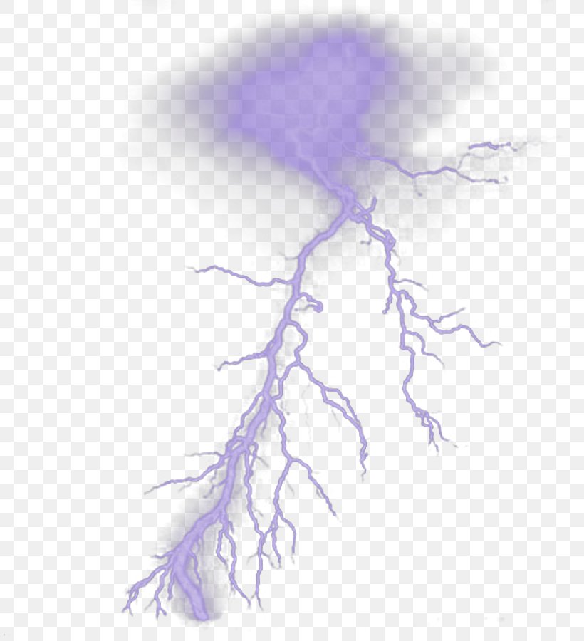 Brush Lightning Drawing, PNG, 809x900px, Brush, Branch, Deviantart, Drawing, Electric Current Download Free