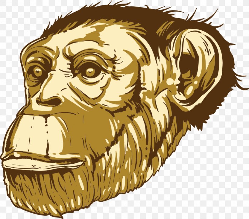 Gorilla Common Chimpanzee Ape Cartoon, PNG, 905x796px, Gorilla, Animal, Ape, Art, Big Cats Download Free