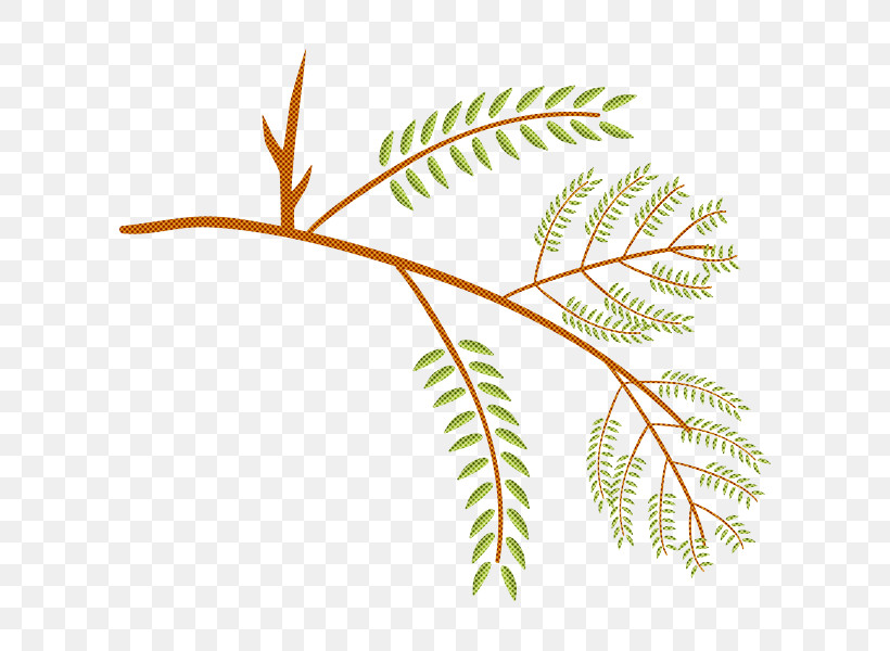 International Year Of Forests Leaf Plant Stem Twig Tree, PNG, 600x600px, Leaf, Flora, Forest, Grasses, Line Download Free