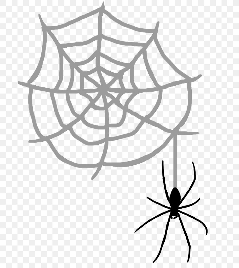 Photography, PNG, 700x917px, Photography, Arachnid, Area, Art, Arthropod Download Free