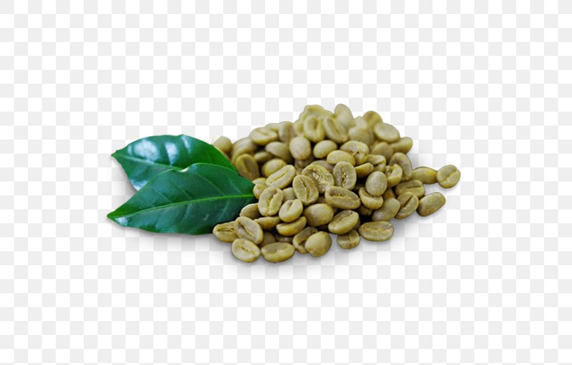 Green Coffee Extract Green Tea Cafe, PNG, 524x523px, Coffee, Arabica Coffee, Bean, Cafe, Coffee Bean Download Free