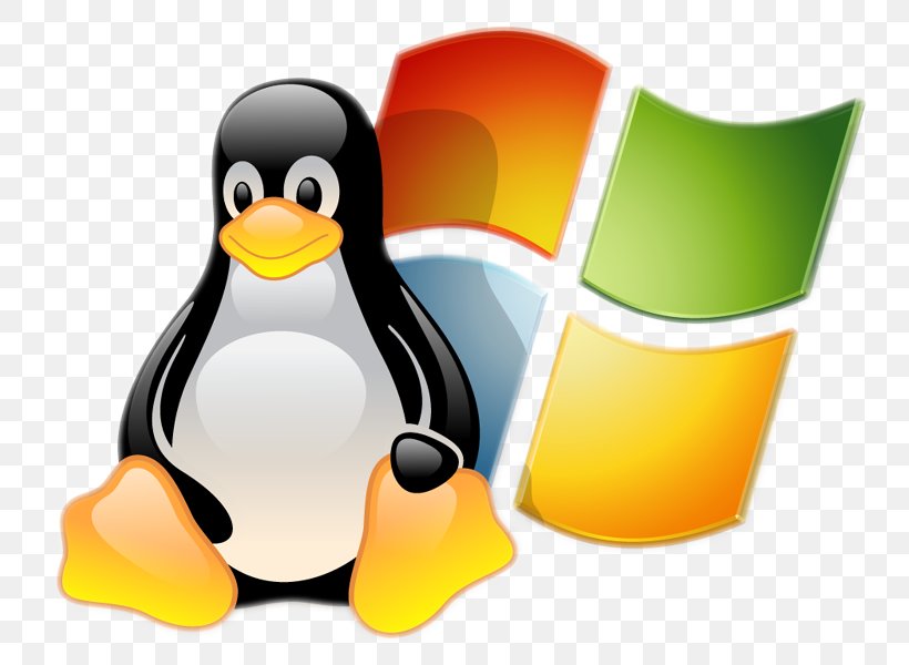 Linux Ve Windows'un Karşılaştırılması Computer Servers Operating Systems, PNG, 800x600px, Linux, Beak, Bird, Booting, Cartoon Download Free