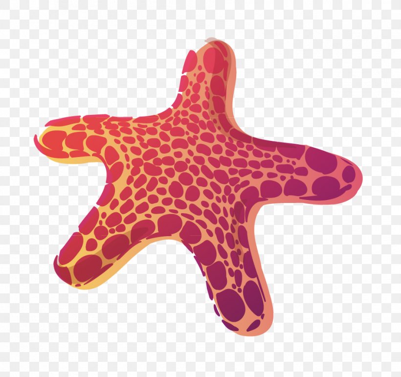 Starfish, PNG, 942x886px, Starfish, Echinoderm, Gratis, Hotel, Invertebrate Download Free