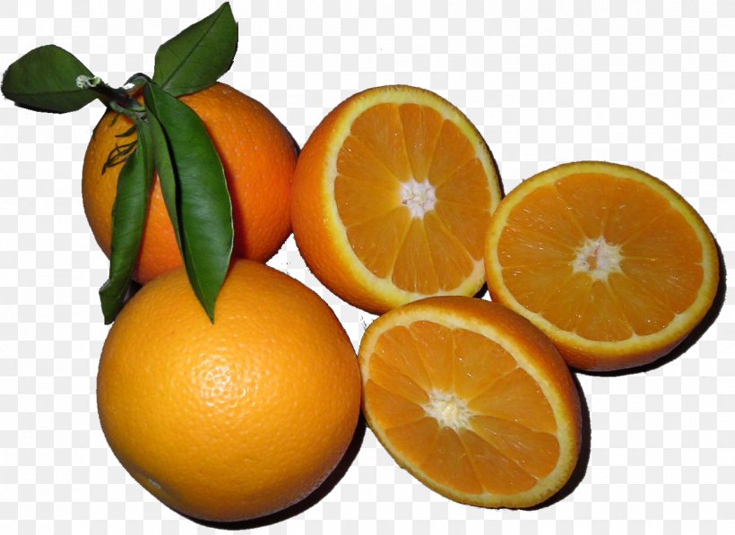 Blood Orange Tangelo Tangerine Clementine, PNG, 1326x966px, Blood Orange, Bitter Orange, Chenpi, Citric Acid, Citron Download Free