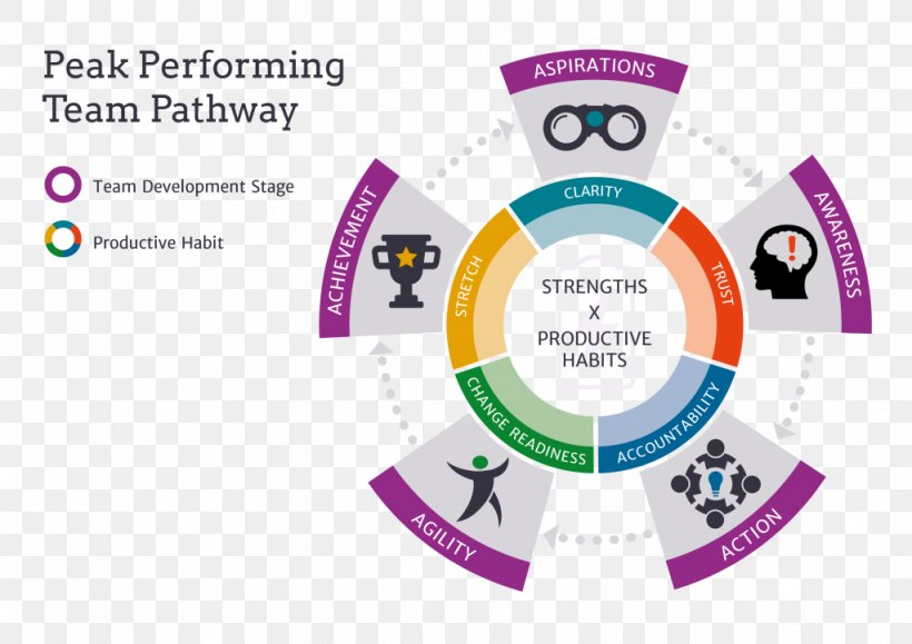 Organization Team Leadership Strengthscope Professional Development, PNG, 1024x724px, Organization, Brand, Communication, Consultant, Diagram Download Free