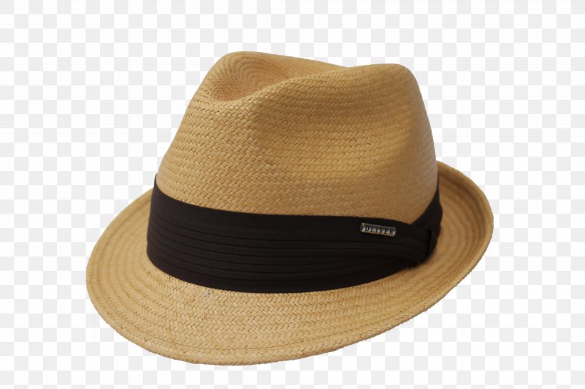 Panama Hat Fedora Trilby Cap, PNG, 4272x2848px, Hat, Cap, Cowboy Hat, Fedora, Felt Download Free